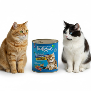 12 Latas Ração para Gato Patê Lata 280g - Fardo com 12 Latas pet Bongos em Oferta na Shopee