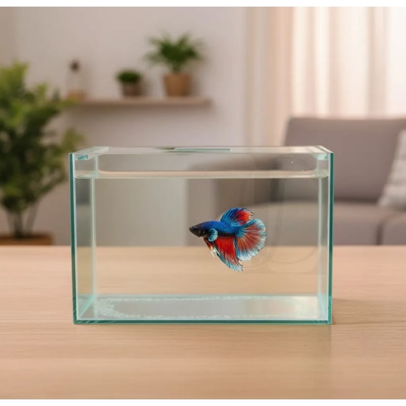Aquário 3 litros simples 20x10x15cm N1 vidro 3mm incolor beteira peixes ornamental plantas natural artificiais