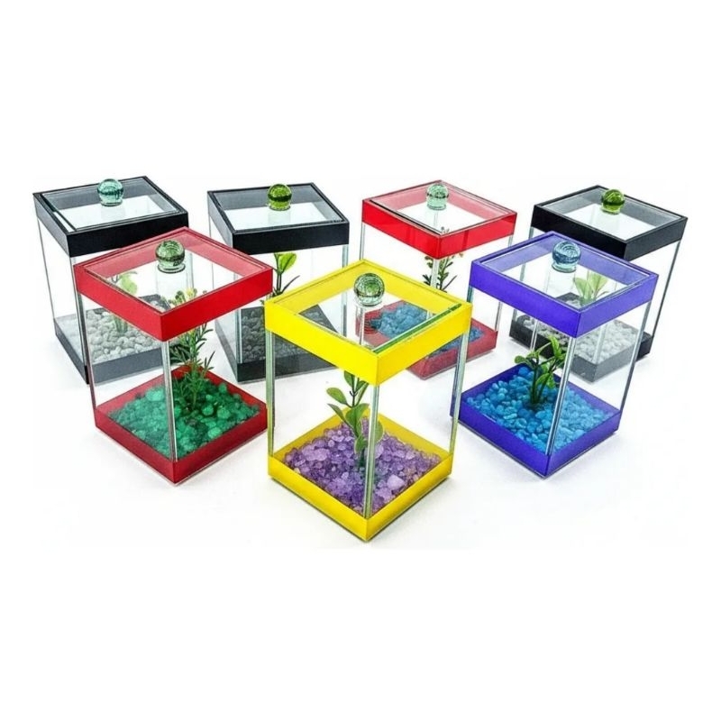 kit 6 Beteiras 09x09x14cm Aquários Decorado Enfeites Betas Planta Artificial arranjos decorativo aniversários