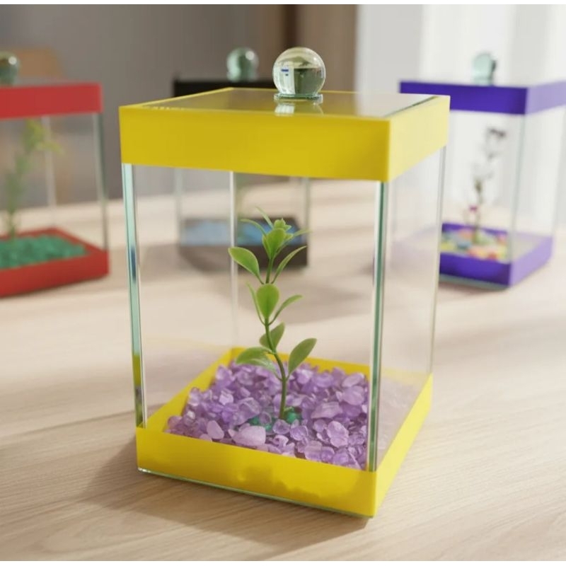 1 Aquário 10x10x15 quadrada decorada Beteira Decorativa peixes betas planta presentes arranjos festas em Oferta na Shopee