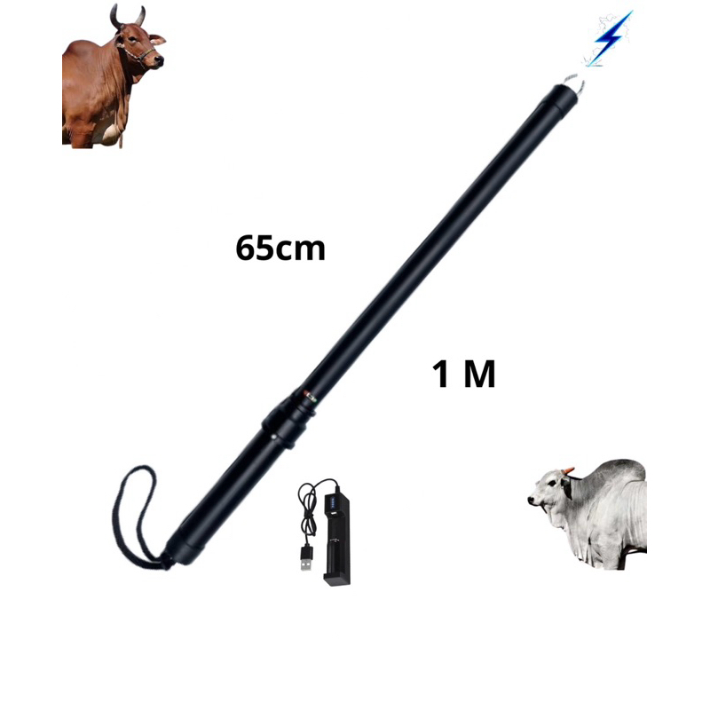 Bastão de Choque: Onde Comprar | BuscaProdutos