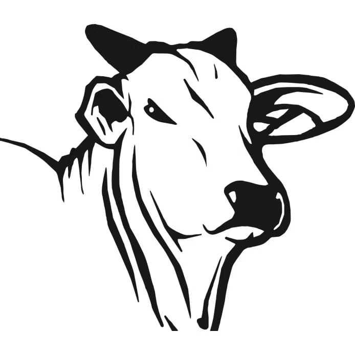 ADESIVO BOI PARA CARRO/CAMINHÃO 15 CENTIMETROS em Oferta na Shopee