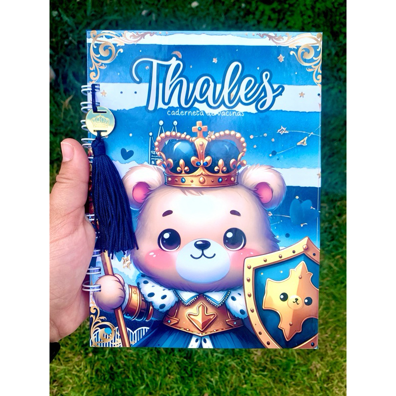 caderneta de vacinas personalizada com nome menino ursinho principe