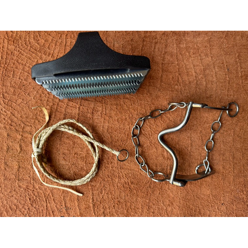 Raspadeira para cavalo laço e freio água choca envio hoje