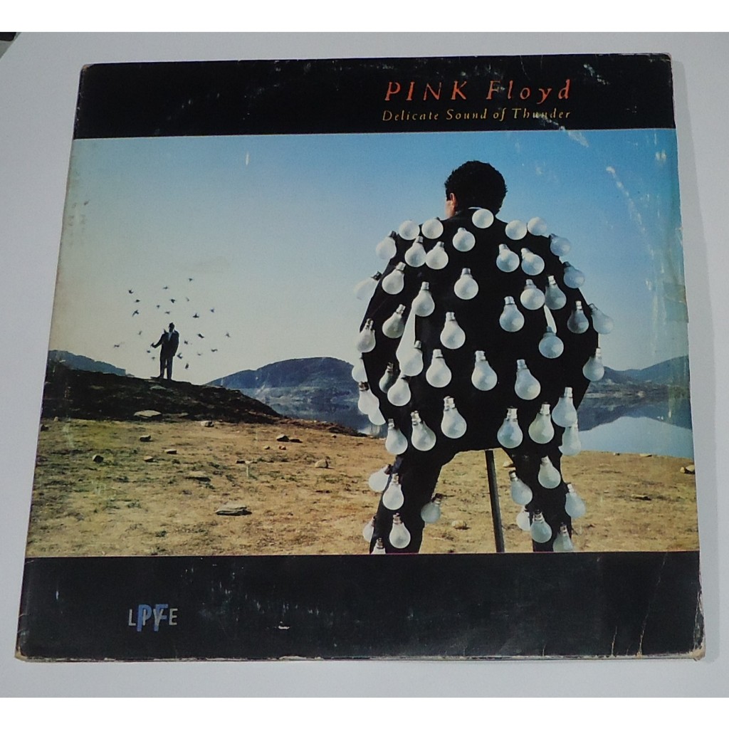 LP: DELICATE SOUND OF THUNDER - PINK FLOYD - 1988 (DUPLO)