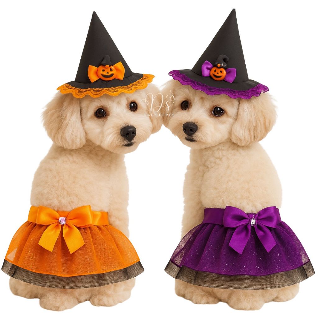 Roupinha Fantasia pet de Bruxinha gato cachorro roupa Halloween dia das bruxas saia + chapéu