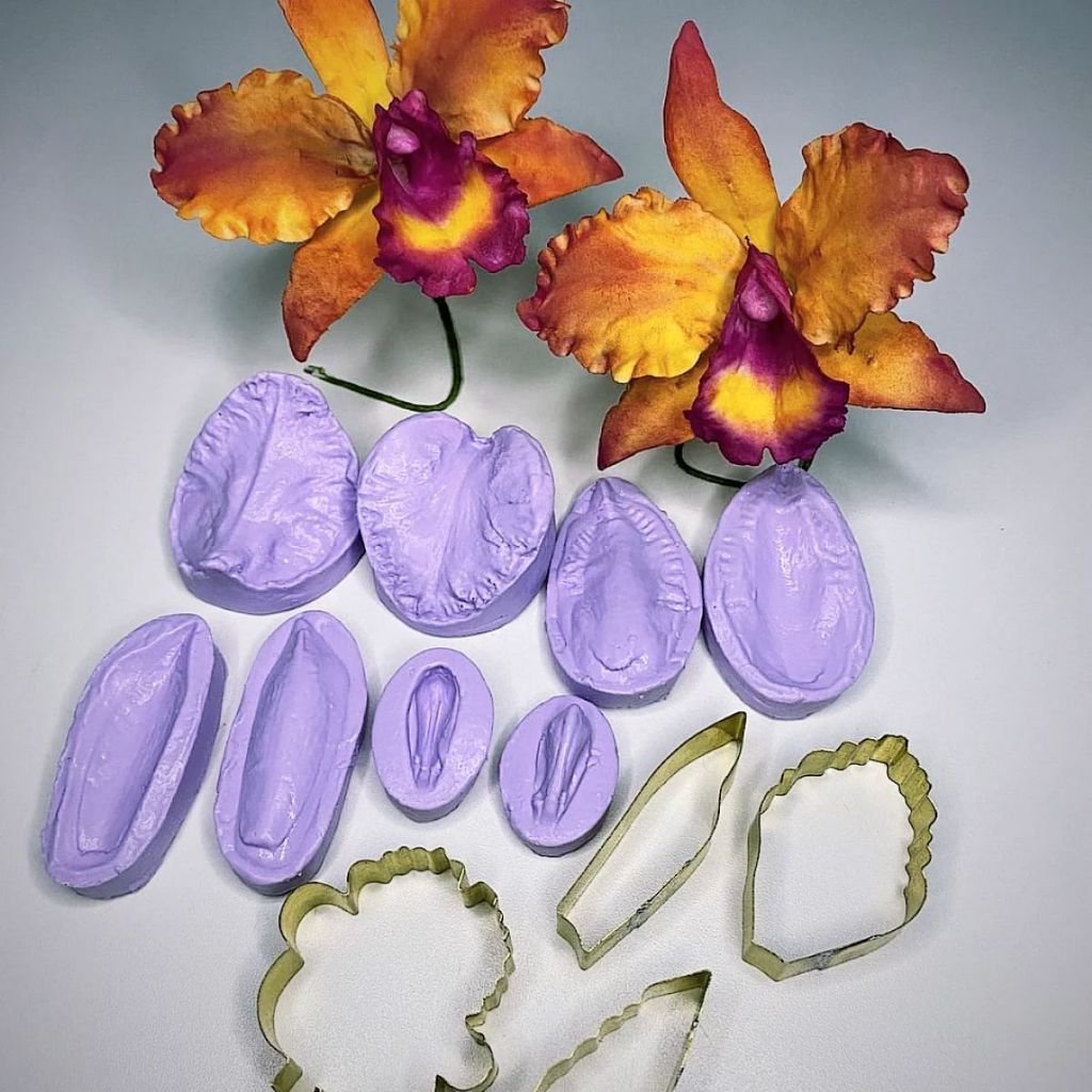 Kit cortador e frisador da Orquídea Cattleya P