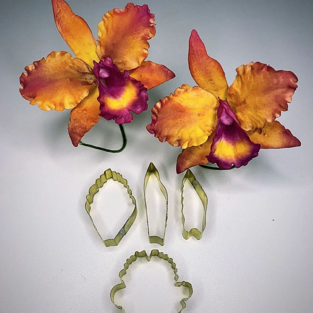 KIT CORTADOR ORQUIDEA CATTLEYA P