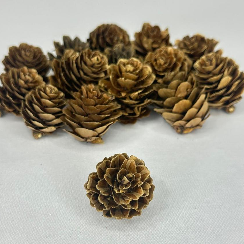 O que é Guirlanda de Natal Pequena? Guia e Onde Comprar | BuscaProdutos