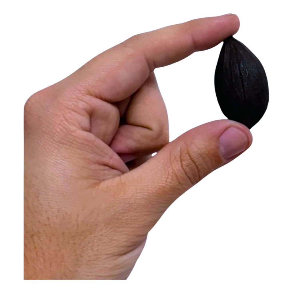 2 Fava de Exu Dedo de Exu Fava De Cipriano Assentamento Umbanda Candomblé em Oferta na Shopee