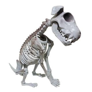 Esqueleto Cachorro Asustador Caveira 43cm Festa Halloween em Oferta na Shopee