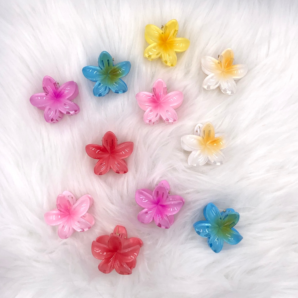 KIT 3/6/12 PCS Grampo De Cabelo Flor（4cm） De Feriado De Praia Barrettes Acessórios piranha e presilha flor