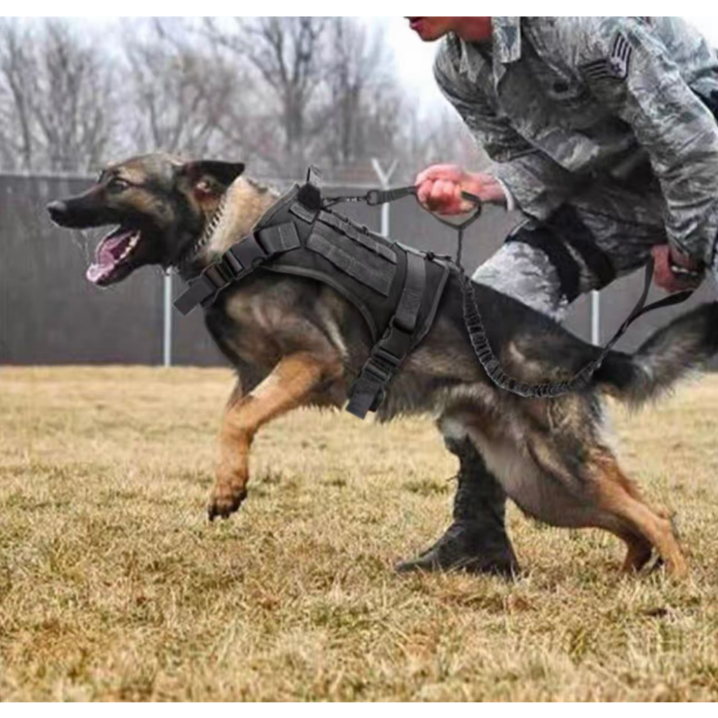 Arnês Colete/Coleira Tática /Guia Tático para Cães/Nylon Durável.Ideal para Treino & Passeio em Oferta na Shopee