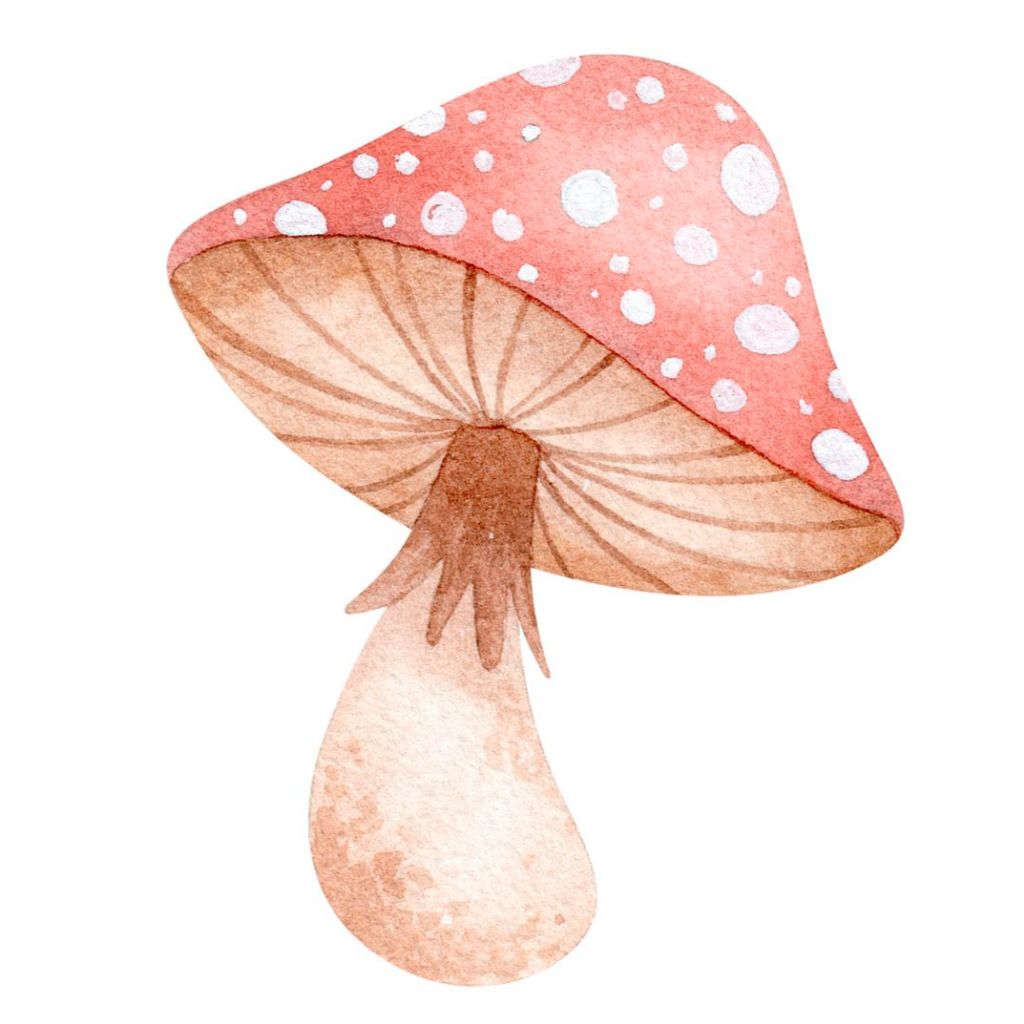 Totem Jardim Encantado Display em MDF 3mm - Decoração de Festa Infantil (50cm a 1 Metro) em Oferta na Shopee