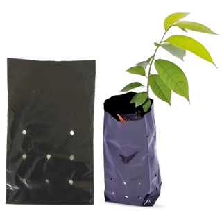 Saco Plástico Para Mudas 15x20 Cm 100 Unid. em Oferta na Shopee