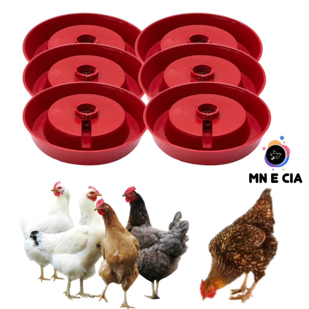 Kit 6 Bases Bebedouro Ave , Frango, Pinto, Codorna p/Garrafa Pet em Oferta na Shopee