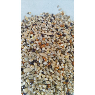 Mistura curió/ bicudo/azulão 5k em Oferta na Shopee