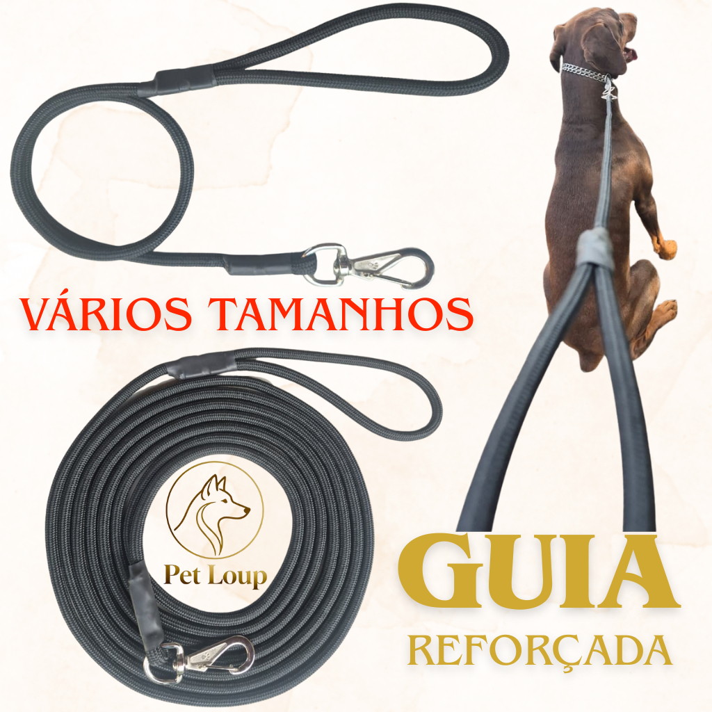 Guia Longa: Guia Completo e Onde Comprar | BuscaProdutos