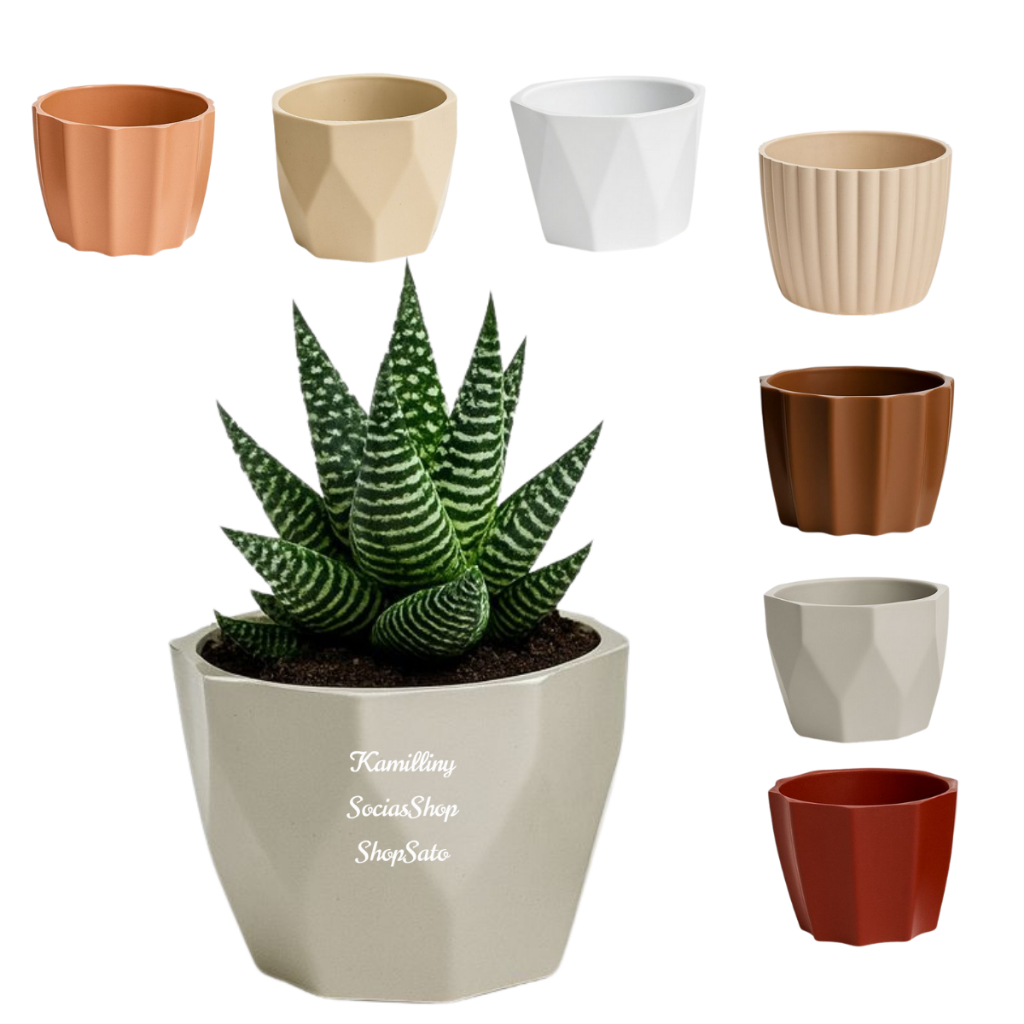 Mini Vasinhos Sortidos Decorativos Coloridos Para Arranjos Minimalistas Suculentas Artificiais