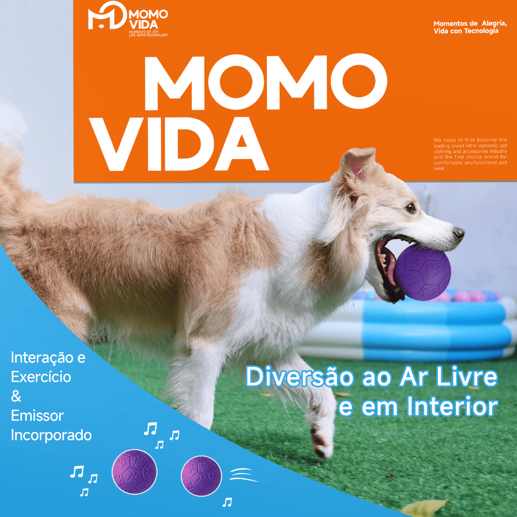 Bola de Futebol Momovida Pet Pequena Em Borracha Com Som Redução do Tártaro Para Cães Cachorros em Oferta na Shopee