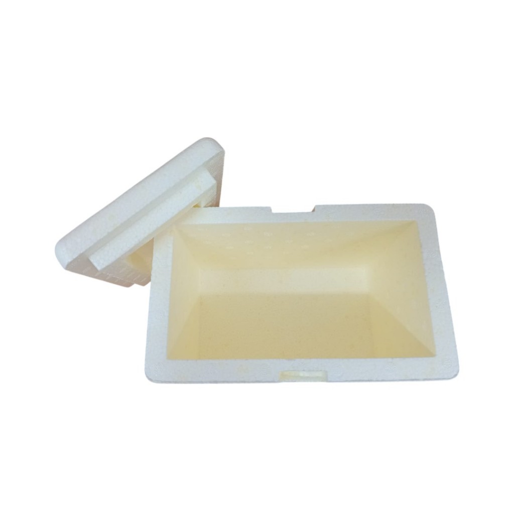 Caixa Térmica de Isopor 3L – Ideal para Praia, Churrasco, Viagem  Conserva Alimentos e Bebidas 10 UN