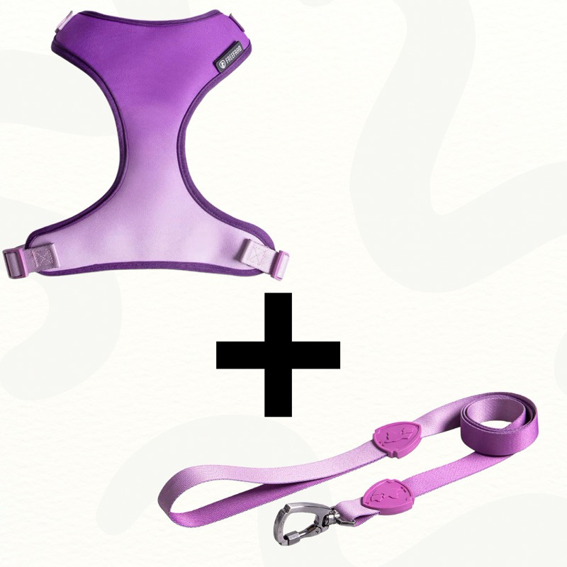 kit Peitoral e Guia Air Lilac para Cães e Gatos Freefaro