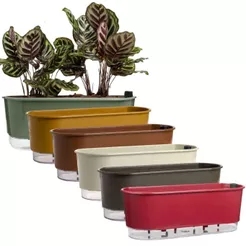 Kit 2 Jardineira Floreira Autoirrigavel 40cm Para Cultivo de Plantas Flores Temperos Jardim Vertical Mesa Terrazzo