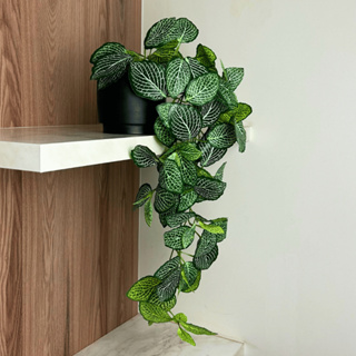 Arranjo Planta Artificial Pendente Fitônia Realista Toque Natural Caída Prateleira Com Vaso Preto em Oferta na Shopee