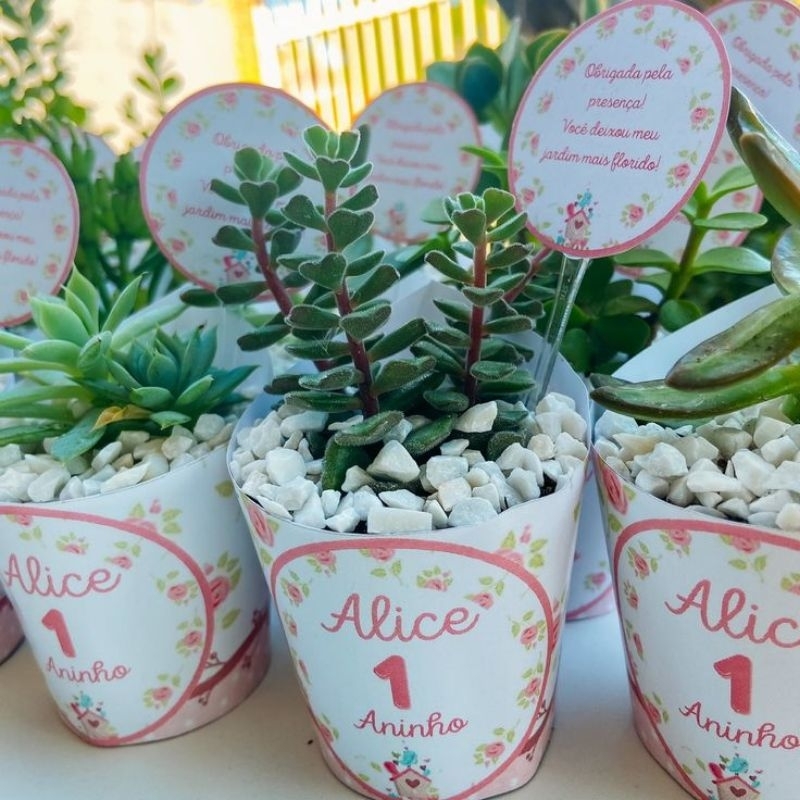 100Tag Personalizada para Suculentas | Lembrancinha Casamento, Chá de Bebê, Aniversário e Eventos