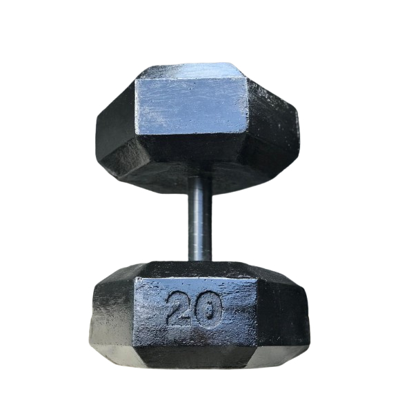 O que é Pesos para Treinar? Guia e Onde Comprar | BuscaProdutos