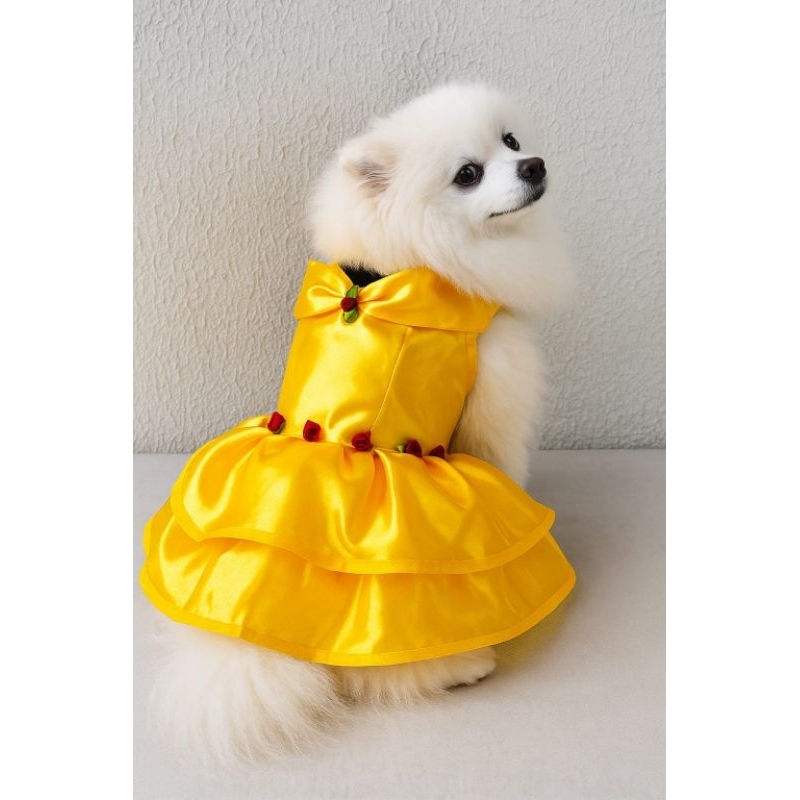 Fantasia Pet - Bela e a Fera - Gato ou Cachorro em Oferta na Shopee