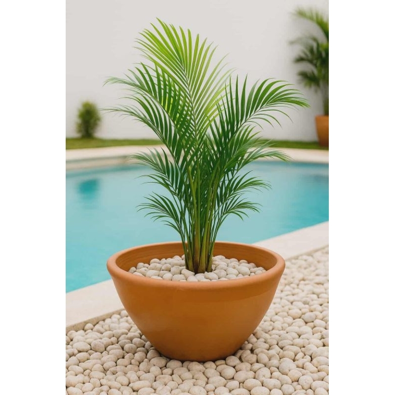 Bacia de Barro Grande 44x16 - Decore Seu Jardim
