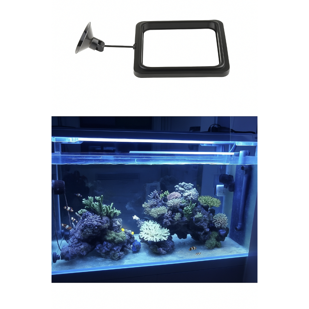 Anel Alimentador Flutuante Quadrado Peixe Aquário Ração em Oferta na Shopee