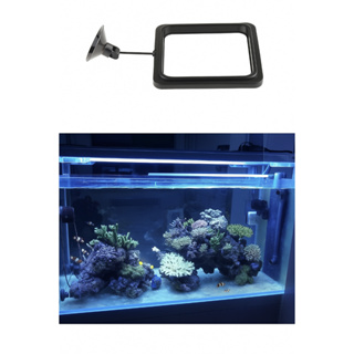 Anel Alimentador Flutuante Quadrado Peixe Aquário Ração em Oferta na Shopee