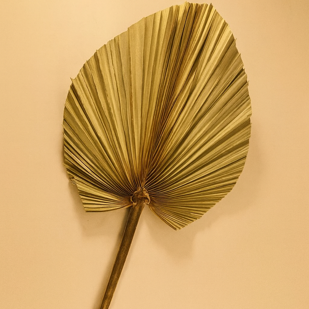 FOLHA DE LATANIA DESIDRATADA PARA DECORAÇÃO CASAMENTO FORMATURA 1 UNIDADE