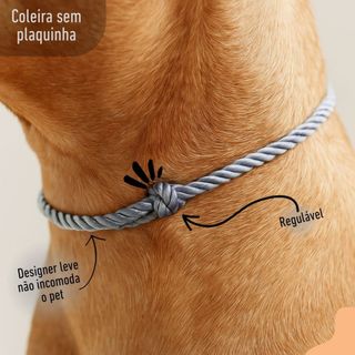 Coleira colar pet ajustável SEM PLAQUINHA de identificação para cachorro e gato  varias c…
