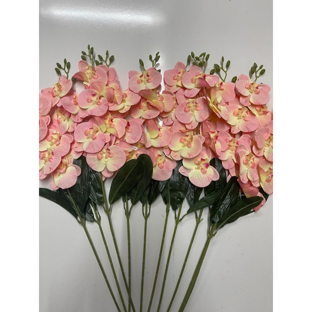 Orquídea Tons Pasteis (KIT COM 10)