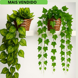 Arranjo Completo 1 Vaso Vime Trançado Marrom + 1 Pendente Planta Pendurada Hera Ivy em Oferta na Shopee