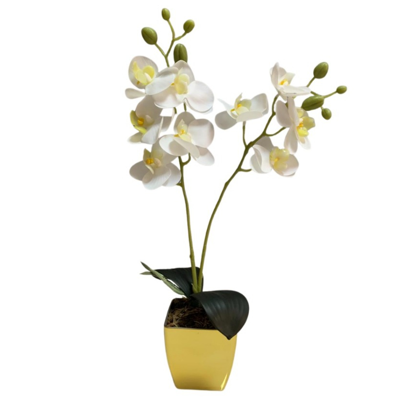Arranjos para Sala Orquideas: Onde Comprar | BuscaProdutos