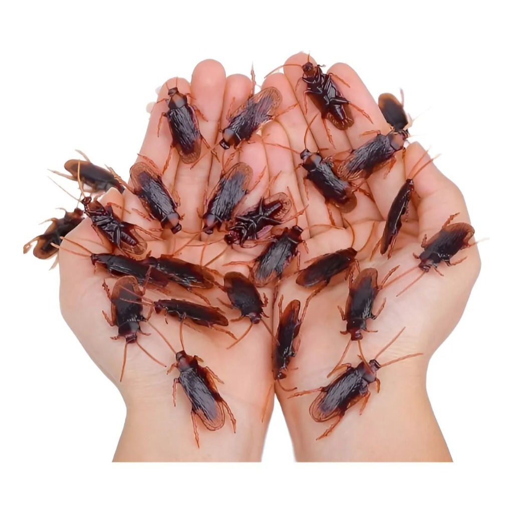 Barata Falsa  Kit Com 12 Unidade