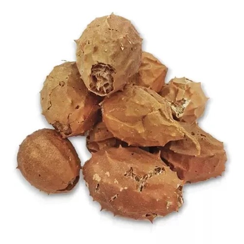 Kit Buchinha Do Norte Original (4, 12 Ou 20 Unid) Atacado em Oferta na Shopee