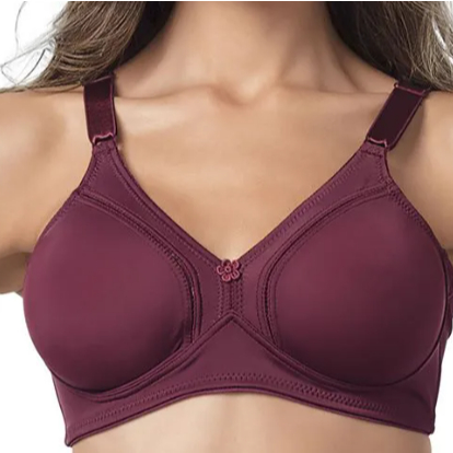 Sutiã Gallard Control Demillus – Alta Sustentação Sem Bojo e Sem Aro | Ref. 78908 em Oferta na Shopee