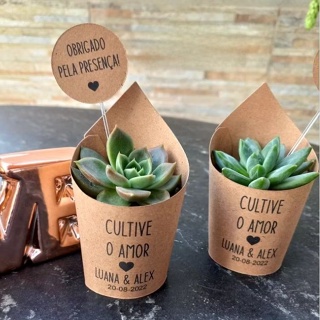 kit Rótulo e Tag Personalizado para Suculentas, casamento, chá de cozinha, aniversário,confraternização em Oferta na Shopee