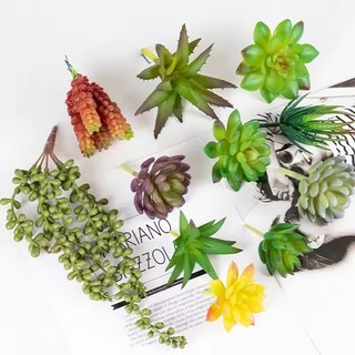 3 a 12 PCS Mini Suculentas Realistas Artificiais SORTIDAS Estilos Cores Misturados - Pequena