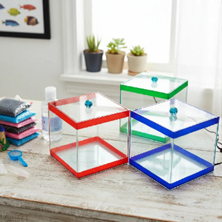 Aquário Cubo 15x15x15cm Beteira Peixe Decoração Vaso Vidro em Oferta na Shopee
