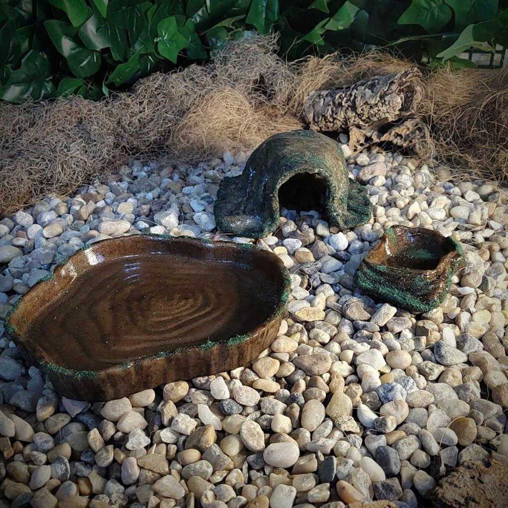 Kit Toca  Bebedouro,  Comedouro para  Répteis e Anfíbios Gecko, Corn Snake Axolote Lagartos