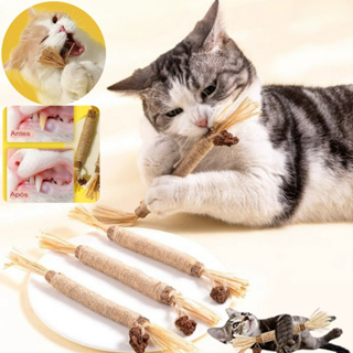 Bastão Mordedor Natural para Gato – Alívio do Estresse e Saúde Bucal em Oferta na Shopee