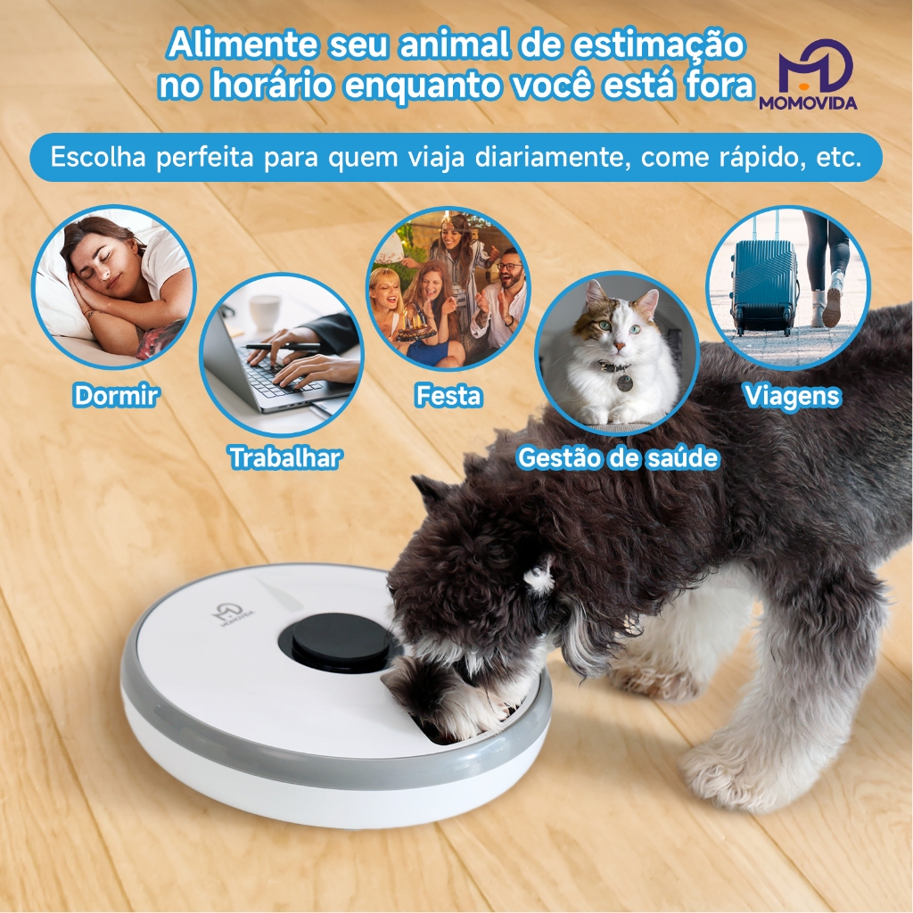 Comedouro Automático Pet Momovida Para Cachorro Cães Gato Programador Refeição Facil Ração 6 Porções em Oferta na Shopee