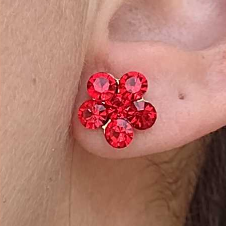 Brinco Pedra Vermelha: Onde Comprar | BuscaProdutos