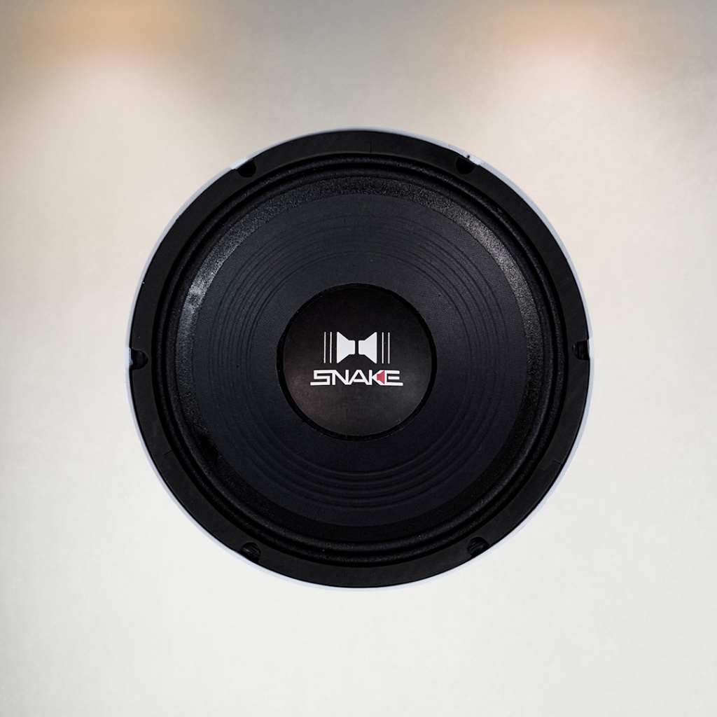 Alto Falante Snake 10 Polegadas 300w 8 Ohms Som Automotivo ESV610